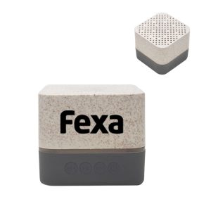 Parlante Wireless Earth